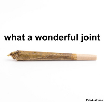 Eek-A-Mouse - What A Wonderful Joint EP