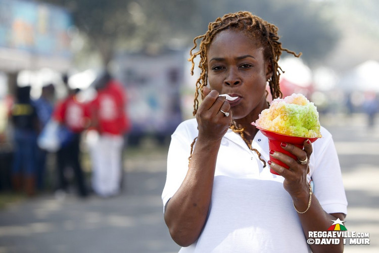 Vibes - Jerk Festvial in Sunrise, Florida @ Markham Park