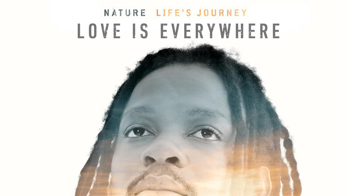 Nature - Love Is Everywhere [6/5/2015]