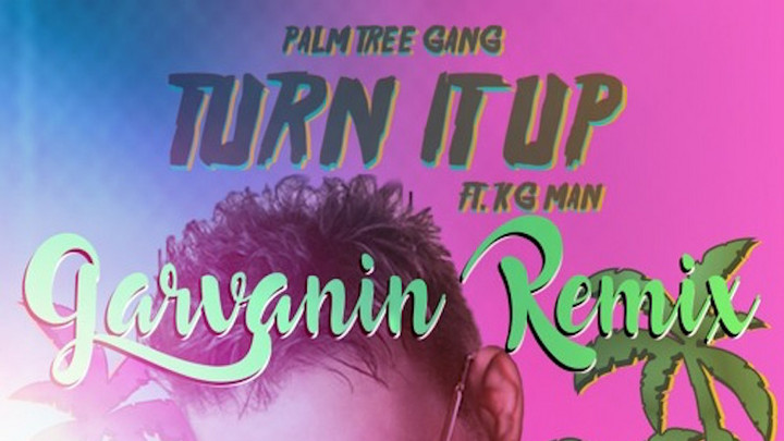 Palm Tree Gang feat. KG Man - Turn It Up (Garvanin Remix) [12/10/2017]