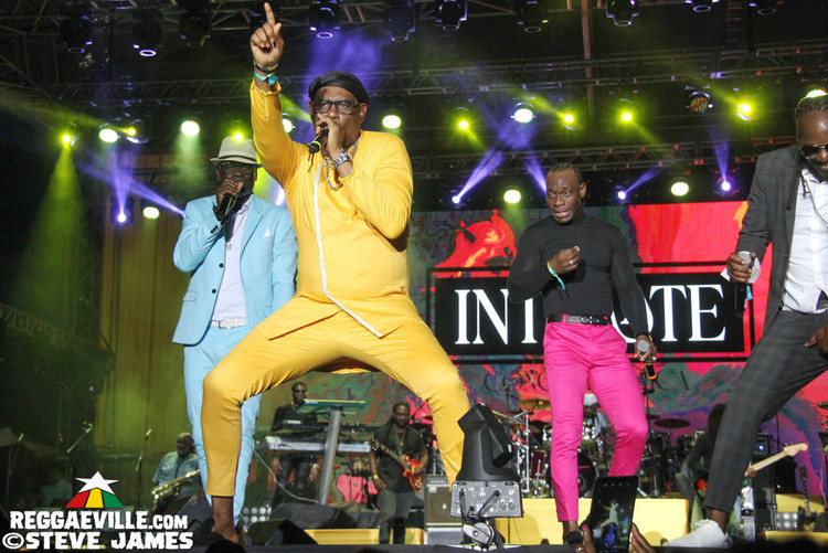 L.U.S.T, D'Yani, MediSun, Mitch