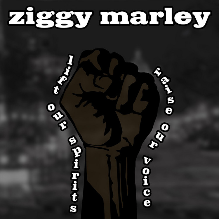 ziggy marley family time download zip ziggy marley family time download zip