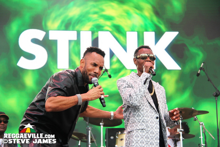 Madhouse Tribute to Dave Kelly