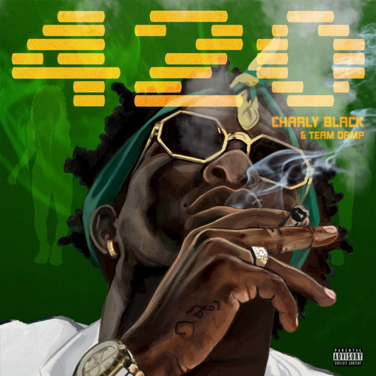 Charly Black & Team DAMP - 420