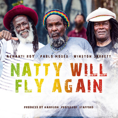 Various Artists - Natty Will Fly Again