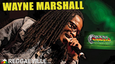 Wayne Marshall @ Rototom Sunsplash