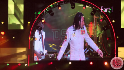 Nature @ Reggae Sumfest 2014