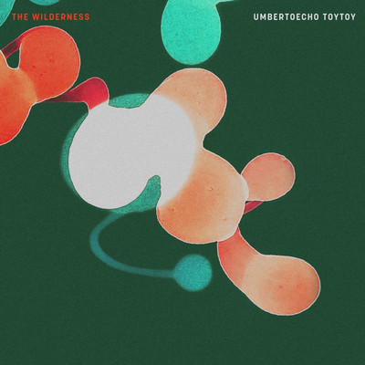 Umberto Echo x ToyToy - The Wilderness