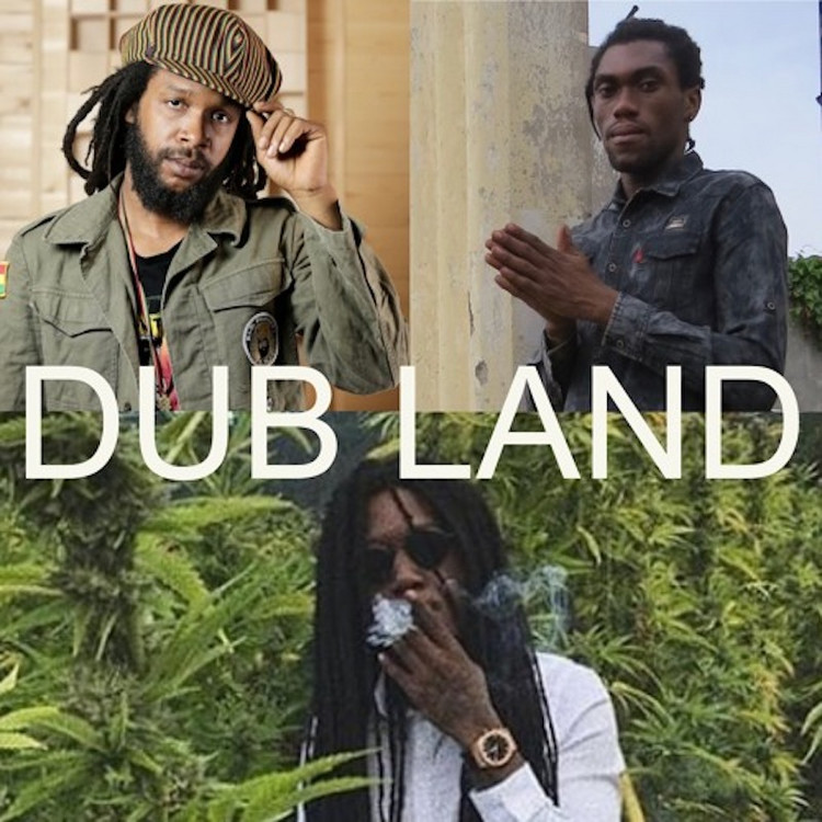 Micah Shemaiah feat. Dahvid Slur & Meleku - Dub Land Megamix