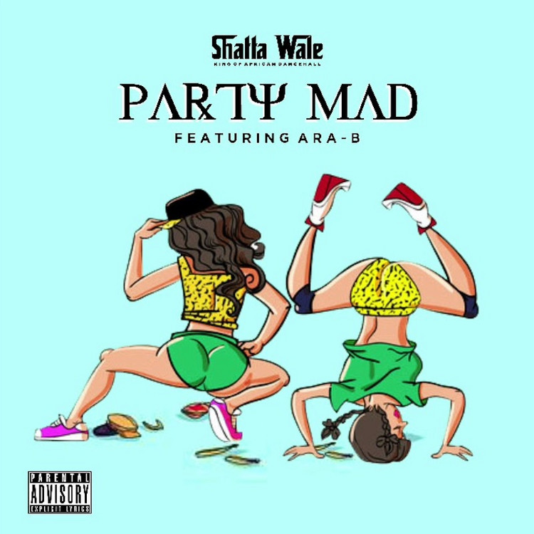 Shatta Wale feat. Ara B - Party Mad