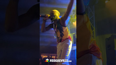 Natty King @ Reggae in Wulf 2025