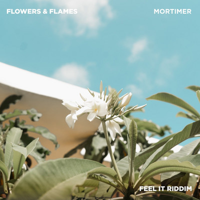 Mortimer - Flowers & Flames