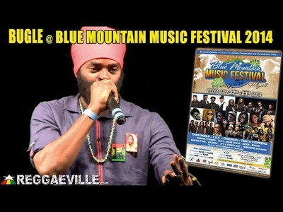 Bugle @ Blue Mountain Music Festival 2014