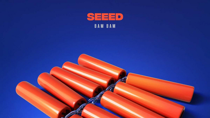 SEEED - Bam Bam (Album Megamix) [9/5/2019]