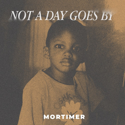 Mortimer - Not A Day Goes By