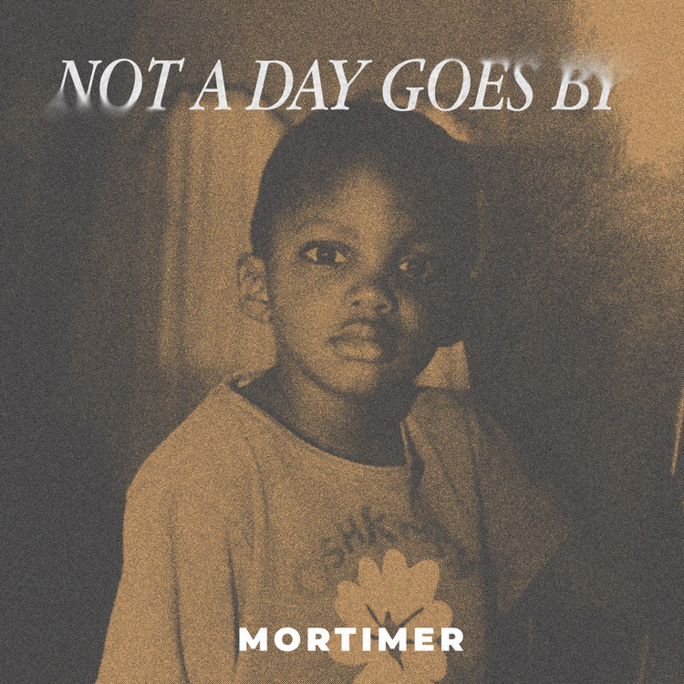 Mortimer - Not A Day Goes By