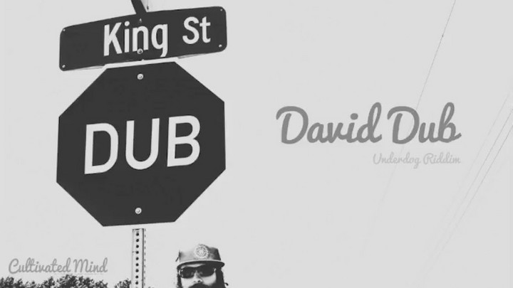 Cultivated Mind & Big Natty - David Dub [12/27/2017]