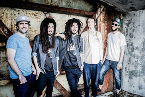 Mellow Mood