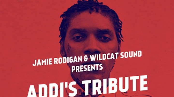 Vybz Kartel - Addi's Tribute Mixtape [1/3/2017]