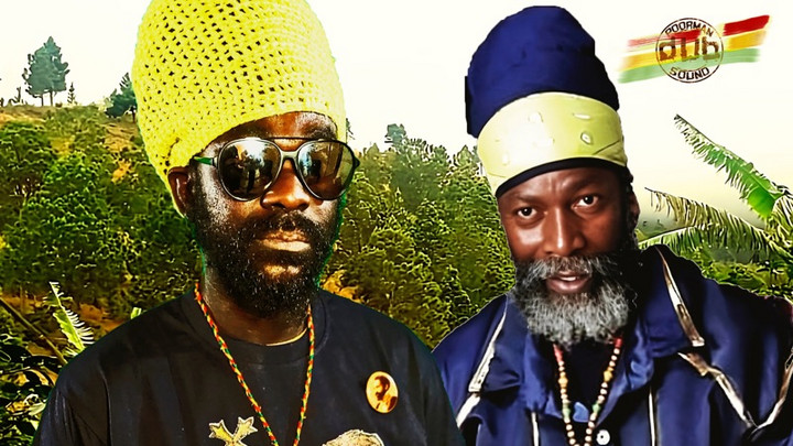 Bamboo Kallum X Capleton - Food Haffi Plant [9/8/2023]