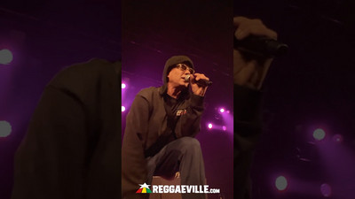 Trettmann - Was Solls  @ Rise Up Jamaica 2025