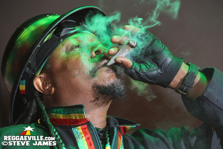 Luciano, Freddie McGregor & Word, Sound and Power