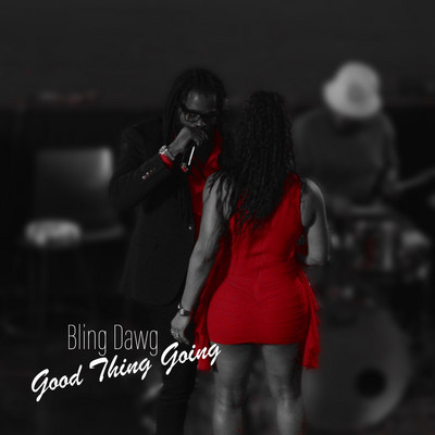 Bling Dawg - Good Thing Going