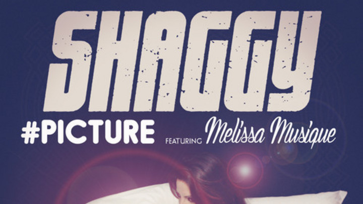 Shaggy feat. Melissa Musique - #Picture [12/16/2014]