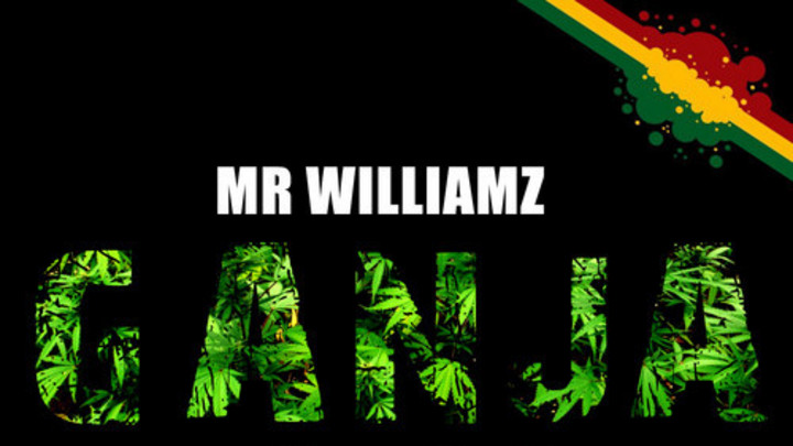 Mr Williamz - Ganja Palace [6/2/2014]