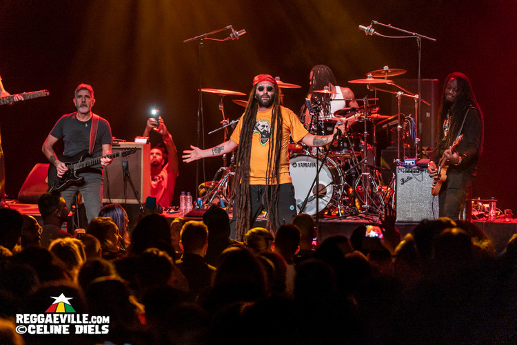 Alborosie & Shengen Clan