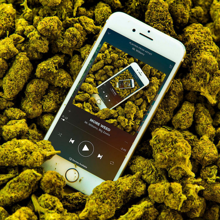 Mr. Williamz feat. Big Zeeks - More Weed