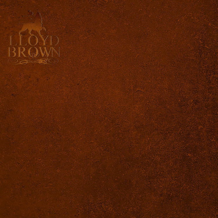 Lloyd Brown - The Brown Album