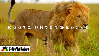 Rootz Underground - Vectors