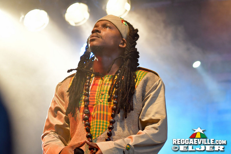 Nature Ellis & New Kingston