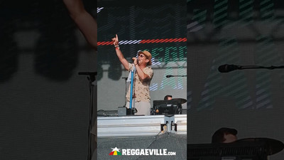 The Dualers @ Reggae Land 2024