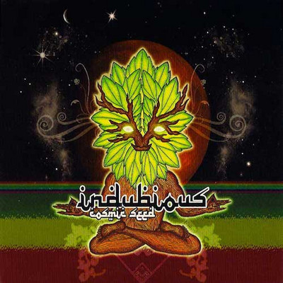 Indubious - Cosmic Seeds
