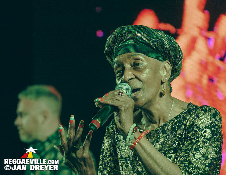 Mungo's Hi-Fi, L'Entourloop, Barrington Levy, Mr. Williamz