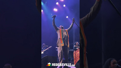 Luciano @ Reggae Geel 2024