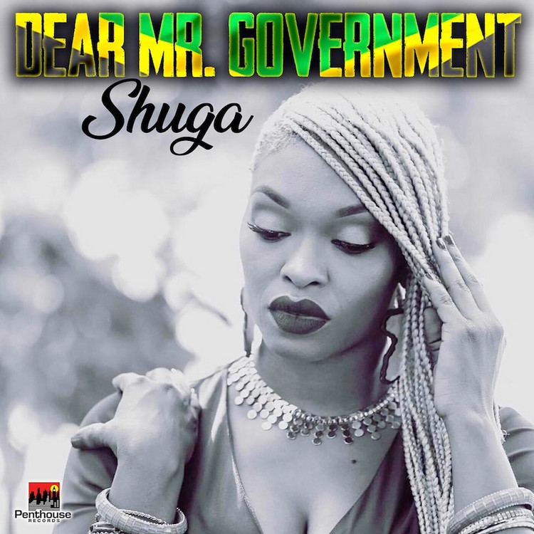 Shuga - Dear Mr. Government