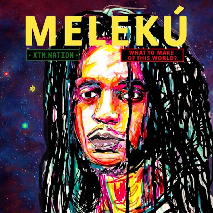 Meleku - What To Make Of This World