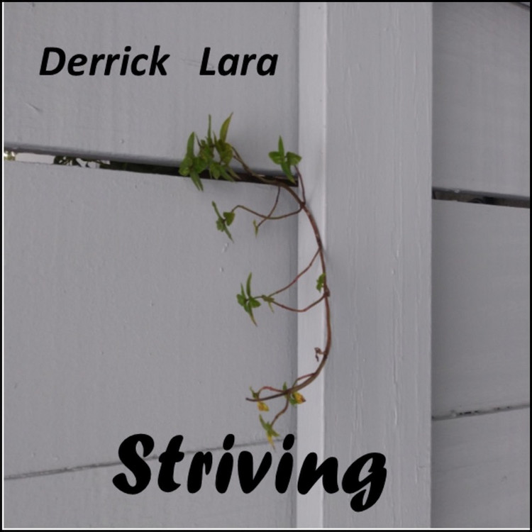 Derrick Lara - Striving (Full Album)