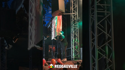 Marcia Griffiths @ Reggae Jam 2023