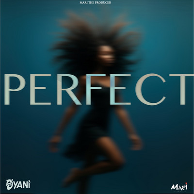 D'Yani - Perfect