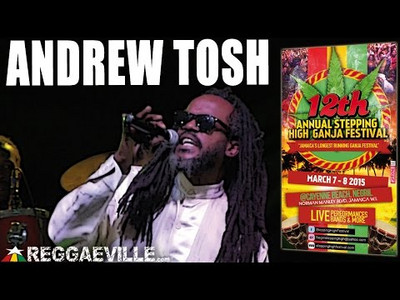 Andrew Tosh - Legalize It @ Stepping High Ganja Festival 2015