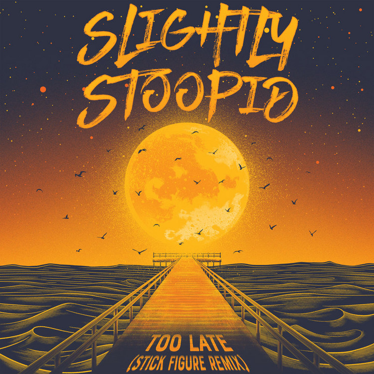 Slightly Stoopid - Too Late (Stick Figure Remix)