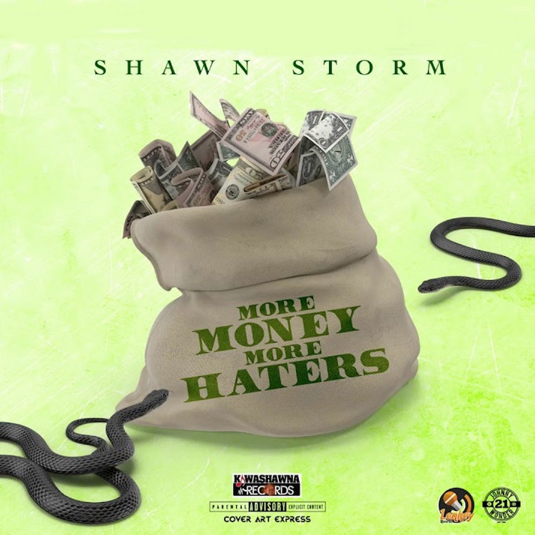 Shawn Storm - More Money More Haters