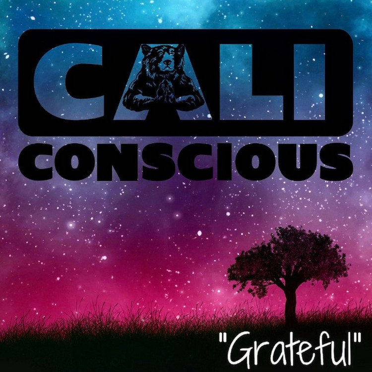 Cali Conscious - Grateful