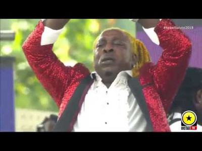 Elephant Man @ Rebel Salute 2018 (Onstage TV)