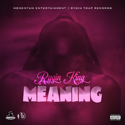Rygin King - Meaning