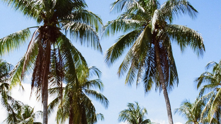 Akina Eman - Long Way [2/11/2026]